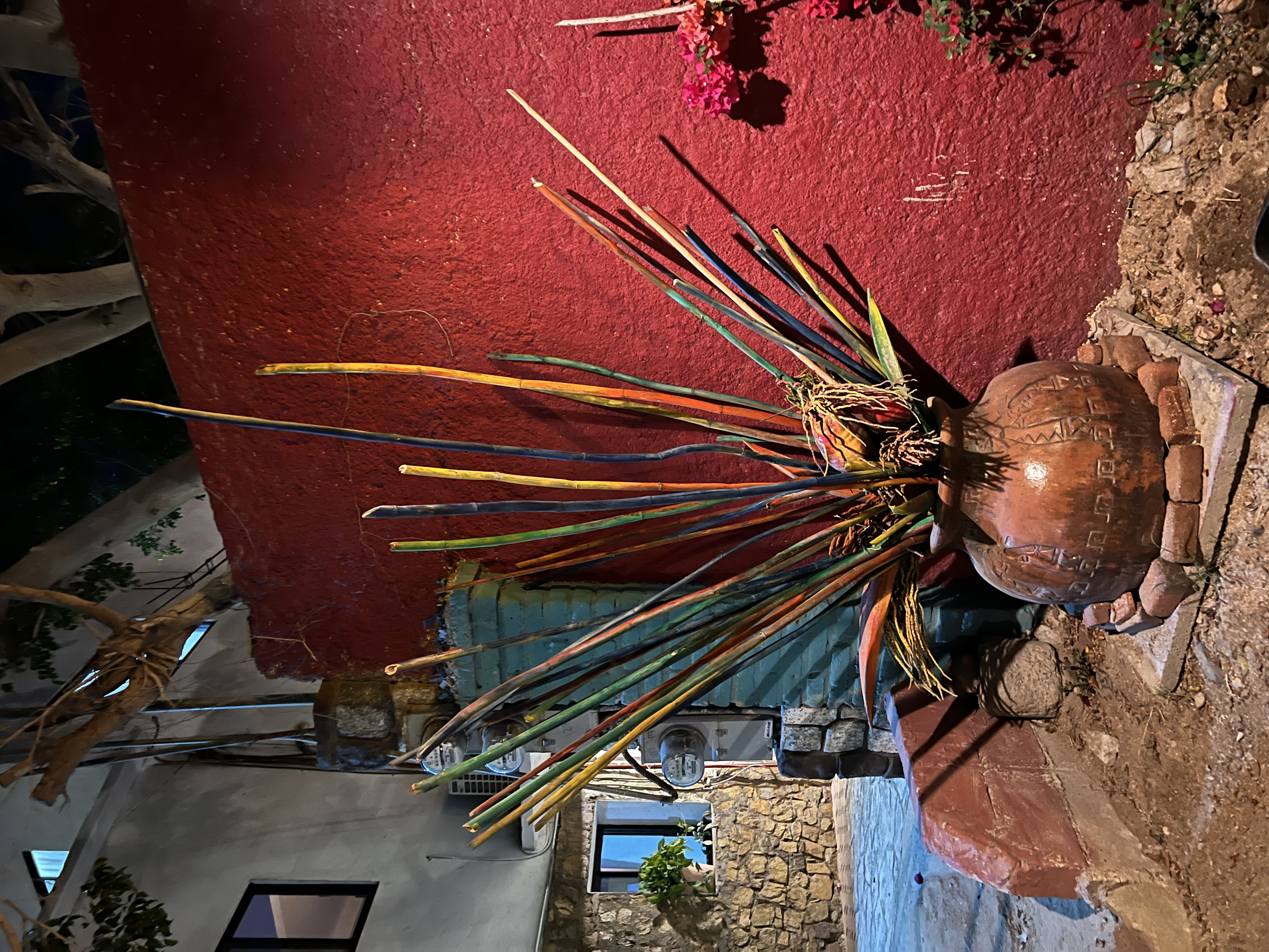 ./2024/13 - Cabo/IMG_4905.jpg